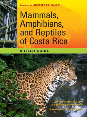 Mammals, Amphibians, and Reptiles of Costa Rica: a Field Guide - ebook